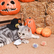 Load image into Gallery viewer, Spooky Cat Ghost Toy