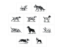 Load image into Gallery viewer, Dog Box: 100 Postcards by 10 Artists