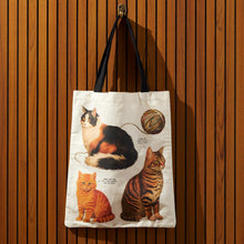 Load image into Gallery viewer, Moody Cats Canvas Tote