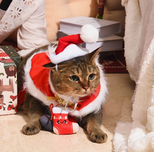 Load image into Gallery viewer, Holiday Kitty Cat Toys