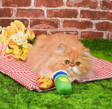 Load image into Gallery viewer, Pizza & Soda Cat Toys