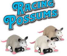 Load image into Gallery viewer, Racing Possums