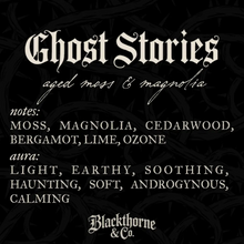 Load image into Gallery viewer, Ghost Stories Vegan Soap Bar