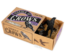 Load image into Gallery viewer, Murder of Crows