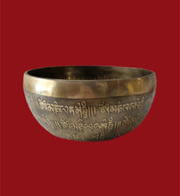 Load image into Gallery viewer, Hand Hammered Conch Shell Singing Bowl (5.25")