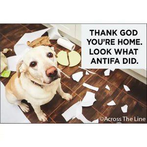 Look What Antifa Did Magnet
