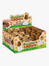 Load image into Gallery viewer, Leaperz Capybara Popping Toy
