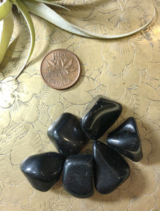 Apache Tear Tumbled Gemstone