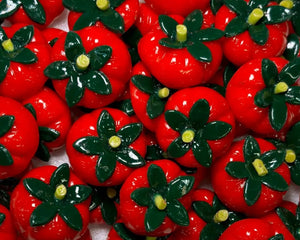 Handmade Tomato Magnet