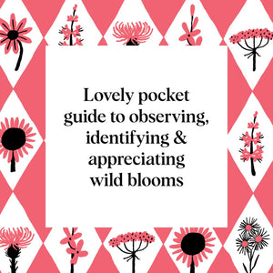 Pocket Nature: Flower Finding [Andrea Debbink]