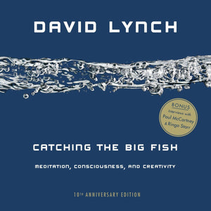 Catching The Big Fish: Meditation, Consciousness, Ad Creativity: 10th Anniversary Edition [David Lynch]