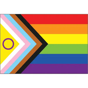 Progress Pride Flag Magnet Small