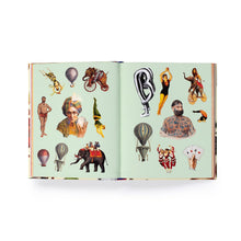 Load image into Gallery viewer, Extraordinary Things Sticker Book [Maria Rivans]
