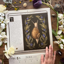 Load image into Gallery viewer, Woodland Wardens 2026 Wall Calendar [Jessica Roux]
