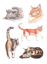 Load image into Gallery viewer, Cat&#39;s Meow Sticker Book: 100+ Stickers Of Fluffy, Feisty, And Fabulous Felines [Megan Lynn Kott]
