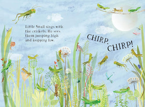 Little Snail's Book Of Bugs Board Book [Yuval Zommer]