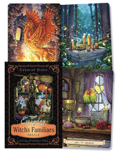 Load image into Gallery viewer, Everyday Witch&#39;s Familiars Oracle [Deborah Blake &amp; Elisabeth Alba]
