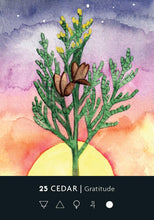 Load image into Gallery viewer, The Ritual Deck [Cassie Uhl]
