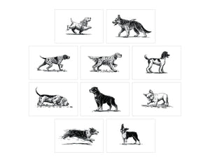Dog Box: 100 Postcards by 10 Artists