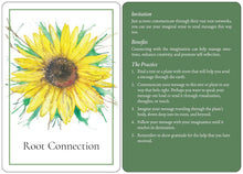 Load image into Gallery viewer, An Invitation to Forest Bathing Deck [ Lissa Kennedy &amp; Roxanne Côté]
