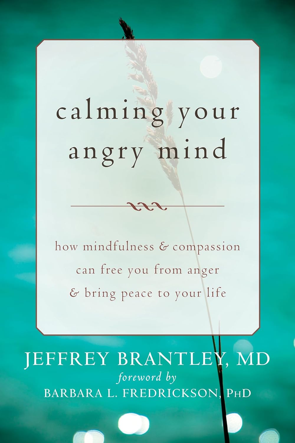 Calming Your Angry Mind: How Mindfulness And Compassion Can Free You From Anger And Bring Peace To Your Life [Jeffrey Brantley, MD]