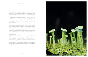 Entangled Life: The Illustrated Edition: How Fungi Make Our Worlds [Merlin Sheldrake]