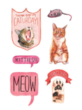 Load image into Gallery viewer, Cat&#39;s Meow Sticker Book: 100+ Stickers Of Fluffy, Feisty, And Fabulous Felines [Megan Lynn Kott]

