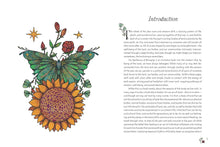 Load image into Gallery viewer, The Apothecary Of Belonging: Seasonal Rituals And Practical Herbalism [Alexis J. Cunningfolk]
