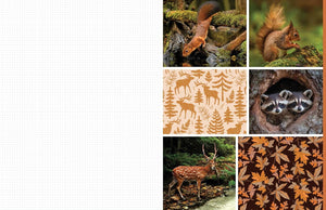 Cut & Collage Woodland Creatures Extraordinary Images from Within the Forest [Earth Aware Editions]