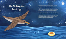 Load image into Gallery viewer, Secrets Of The Ocean: 15 Bedtime Stories Inspired By Nature [Alicia Klepeis, Neon Squid &amp; Kaja Kajfež]
