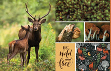 Load image into Gallery viewer, Cut &amp; Collage Woodland Creatures Extraordinary Images from Within the Forest [Earth Aware Editions]
