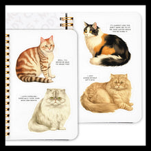 Load image into Gallery viewer, Moody Cats Sticker Book [Brass Brass Monkey &amp; Galison]
