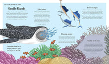 Load image into Gallery viewer, Secrets Of The Ocean: 15 Bedtime Stories Inspired By Nature [Alicia Klepeis, Neon Squid &amp; Kaja Kajfež]
