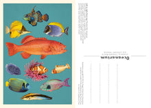 Load image into Gallery viewer, Oceanarium Postcard Box Set [Loveday Trinick &amp; Teagan White]
