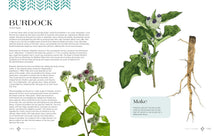 Load image into Gallery viewer, Revered Roots: Ancestral Teachings And Wisdom Of Wild, Edible, And Medicinal Plants [LoriAnn Bird]
