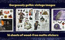 Load image into Gallery viewer, Sticker Emporium Cauldron of Curiosities [Powell Jordano &amp; Parragon Books]
