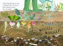 Load image into Gallery viewer, Little Snail&#39;s Book Of Bugs Board Book [Yuval Zommer]
