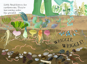 Little Snail's Book Of Bugs Board Book [Yuval Zommer]