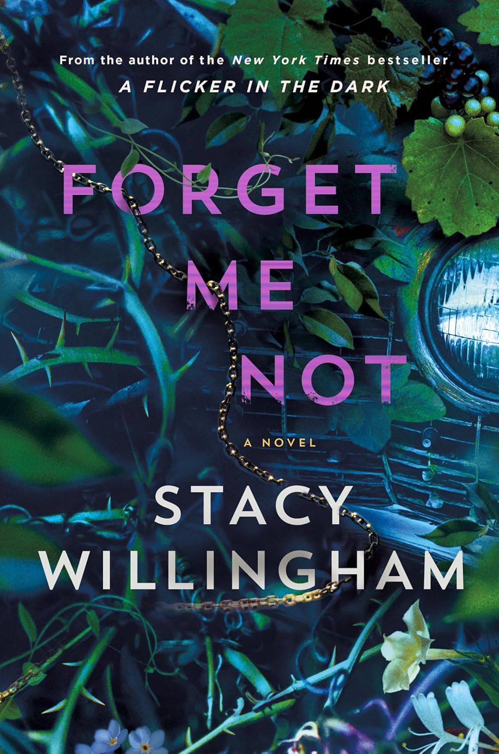 Forget Me Not [Stacy Willingham]
