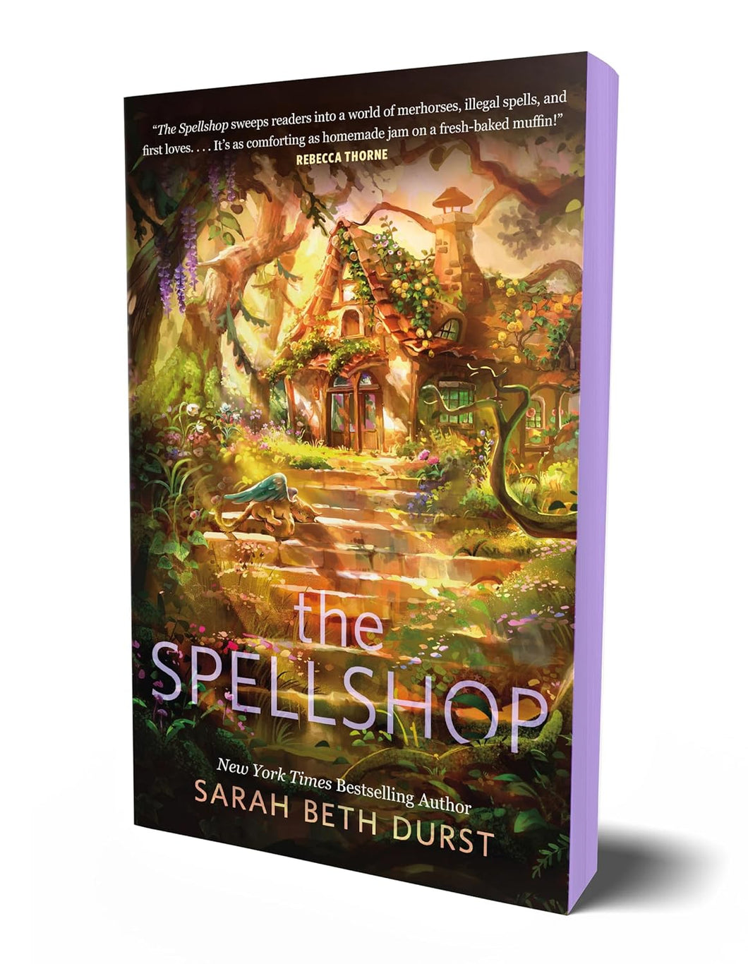 The Spellshop [Sarah Beth Durst]