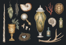 Load image into Gallery viewer, The Collector's Curio: A Sticker Treasury [Jessica Roux] ***RELEASE DATE SEPT. 22, 2026***
