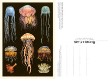 Load image into Gallery viewer, Oceanarium Postcard Box Set [Loveday Trinick &amp; Teagan White]
