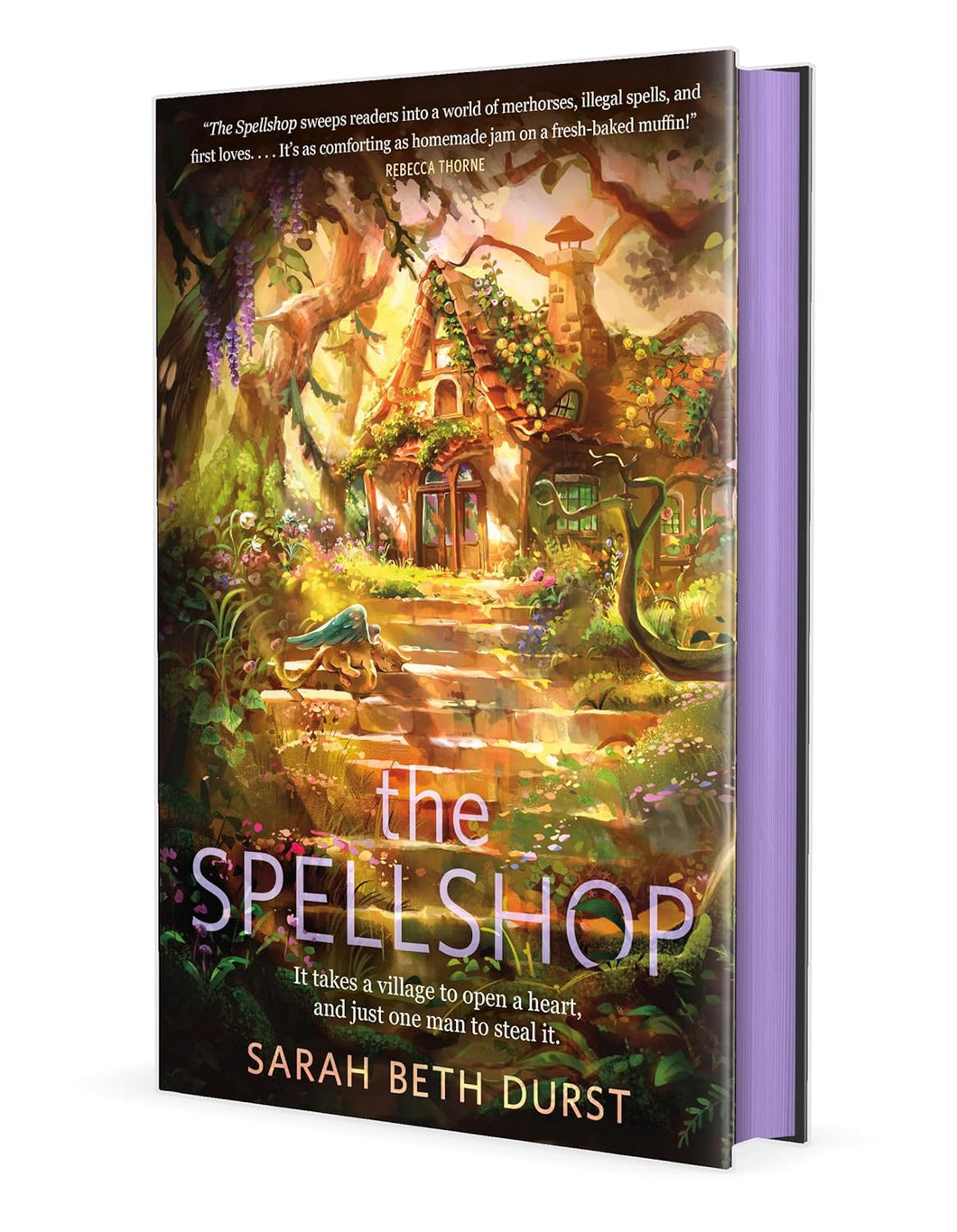 The Spellshop [Sarah Beth Durst]