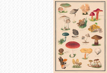 Load image into Gallery viewer, The Collage Compendium: 2,000 Images To Cut Out &amp; Collage [Roomytown]
