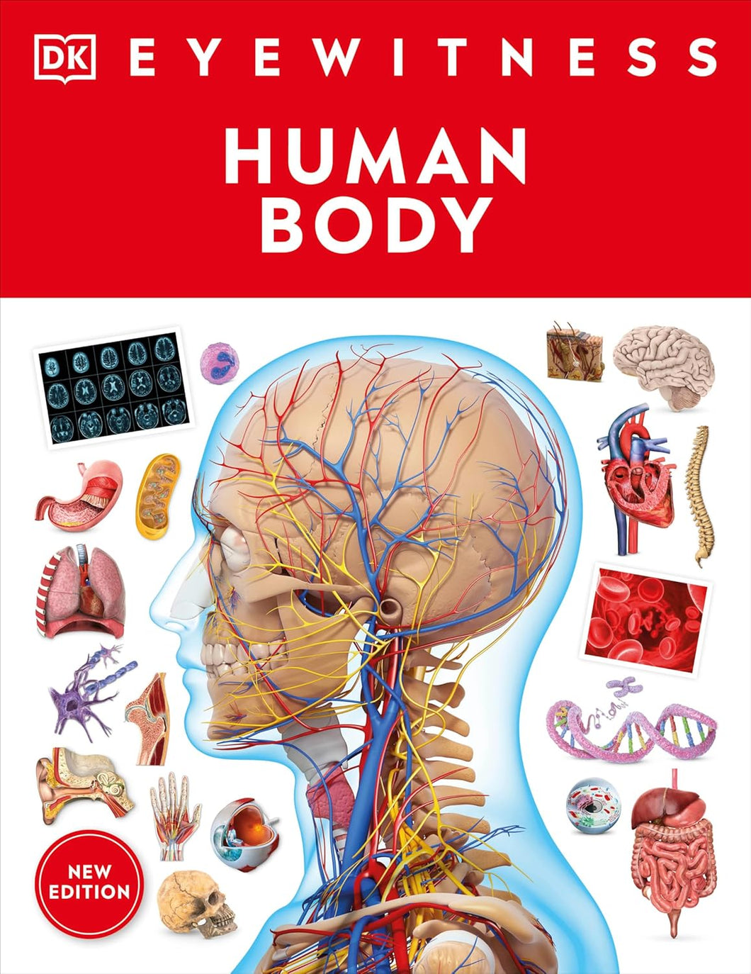 Eyewitness Human Body [DK]