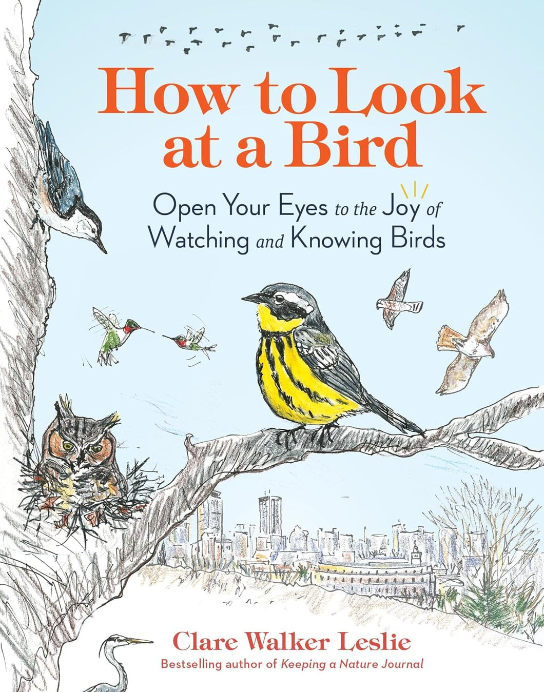 How To Look At A Bird: Open Your Eyes To The Joy Of Watching And Knowing Birds [Clare Walker Leslie]