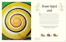 Load image into Gallery viewer, An Anthology of Remarkable Bugs [Jess French]
