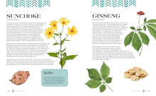 Load image into Gallery viewer, Revered Roots: Ancestral Teachings And Wisdom Of Wild, Edible, And Medicinal Plants [LoriAnn Bird]
