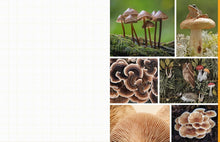 Load image into Gallery viewer, Cut &amp; Collage Mushrooms And Fungi: Magnificent Images From The Forest Floor [Earth Aware Editions]
