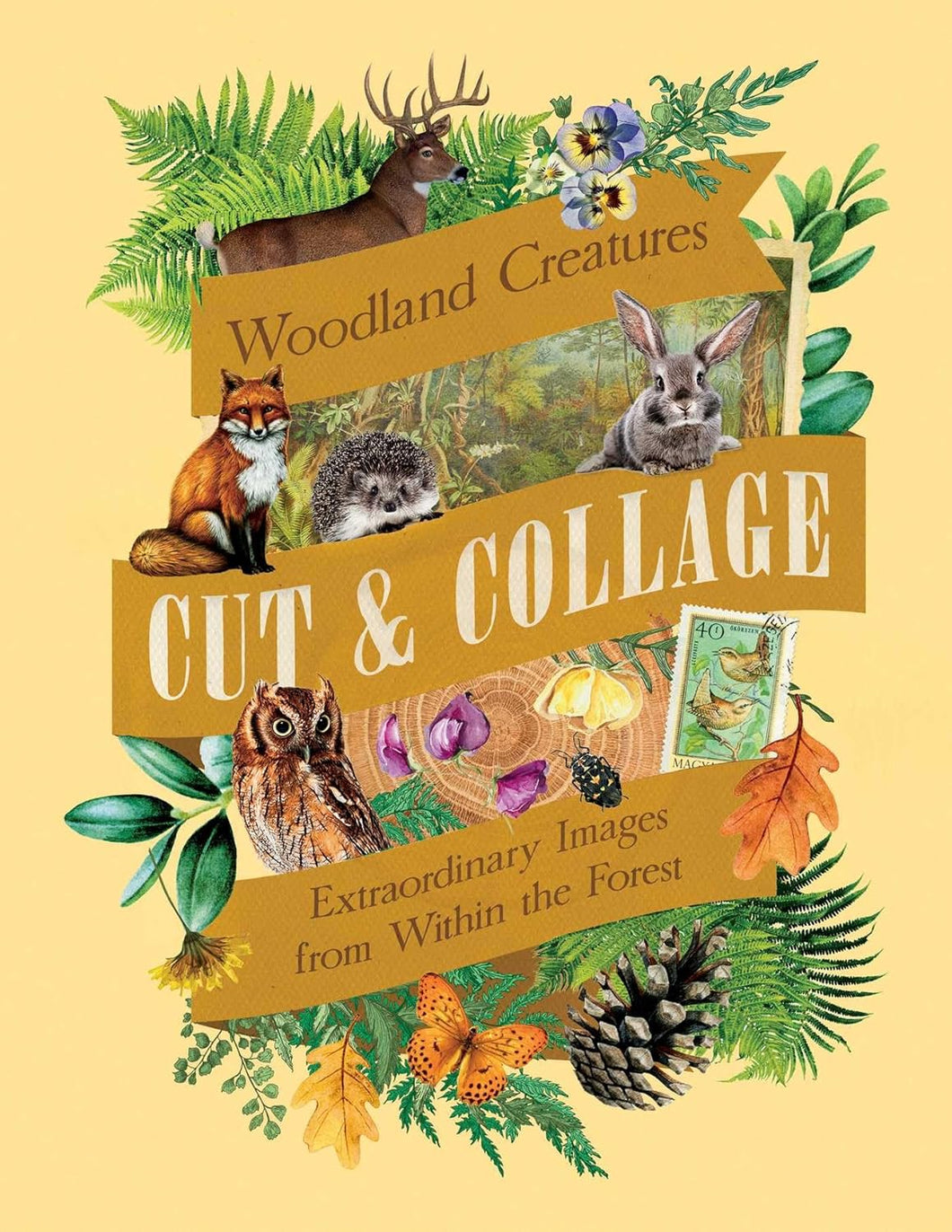Cut & Collage Woodland Creatures Extraordinary Images from Within the Forest [Earth Aware Editions]